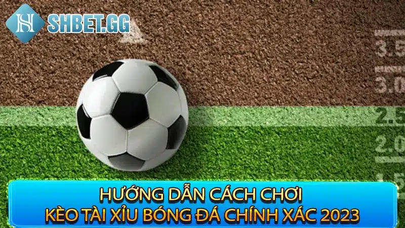 Hướng Dẫn Cách Chơi Kèo Tài Xỉu Bóng Đá Chính Xác 2023