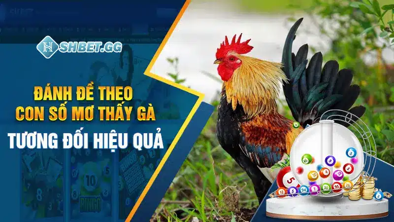 Đánh đề theo con số mơ thấy gà tương đối hiệu quả 