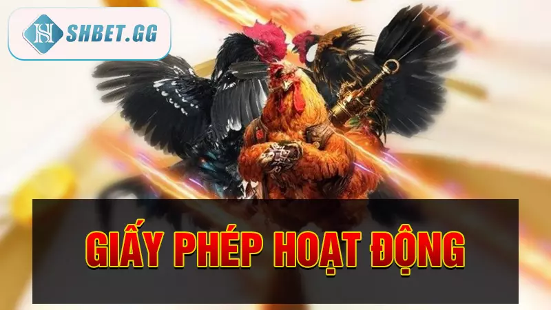 Giấy phép hoạt động