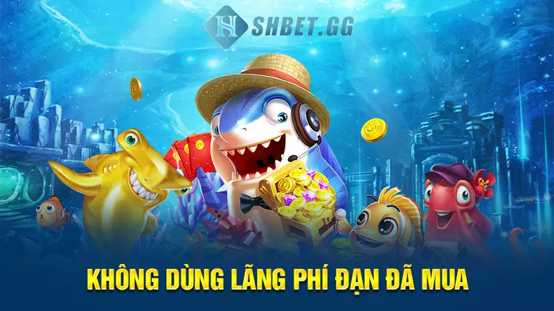 Không dùng lãng phí đạn đã mua