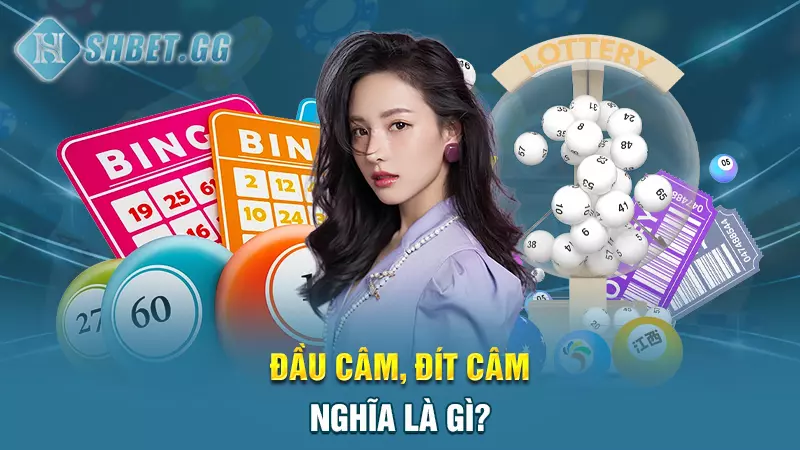 dau cam dit cam nghia la gi