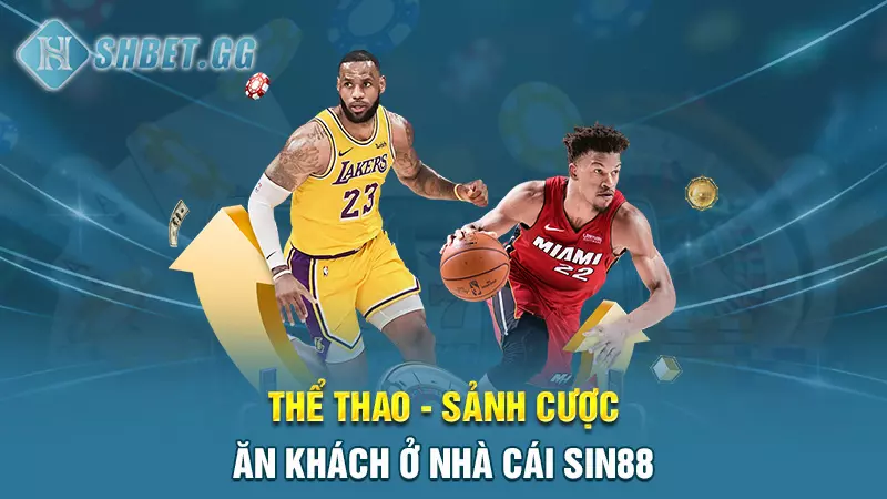 Thể thao - Sảnh cược ăn khách ở nhà cái Sin88