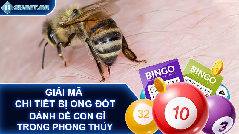 Giải mã chi tiết bị ong đốt đánh đề con gì trong phong thủy