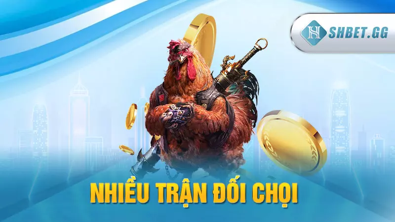 Nhiều trận đối chọi