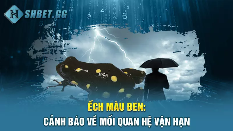 Ếch màu đen: Cảnh báo về mối quan hệ vận hạn