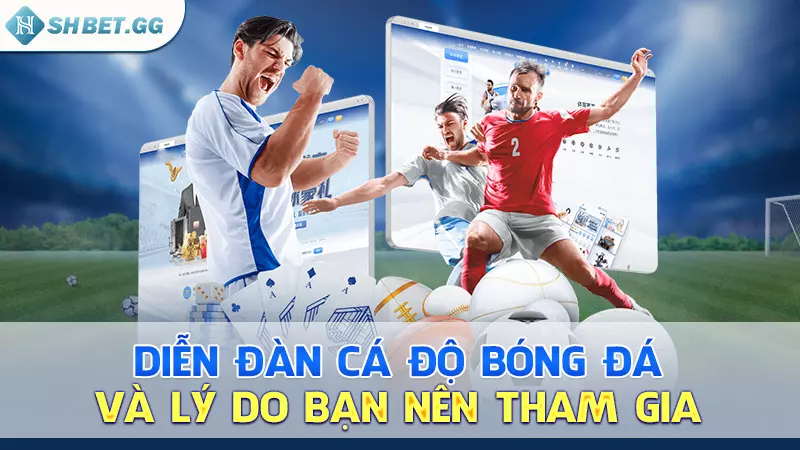 Diễn đàn cá độ bóng đá và lý do bạn nên tham gia