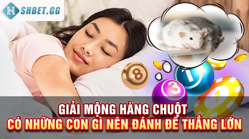 Giải mộng hàng chuột có những con gì nên đánh để thắng lớn