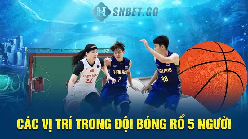 Các vị trí trong đội bóng rổ 5 người