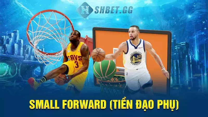 Small Forward (Tiền đạo phụ)