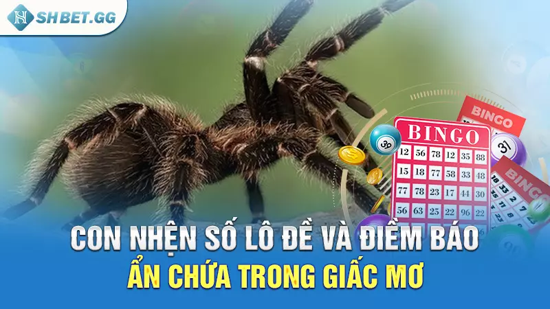 Con nhện số lô đề và điềm báo ẩn chứa trong giấc mơ